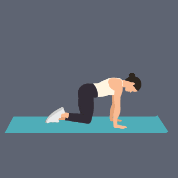 Kneeling Hip Circles demonstration