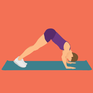 Full Body exercise demonstration