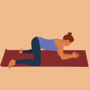 Frog Pose demonstration